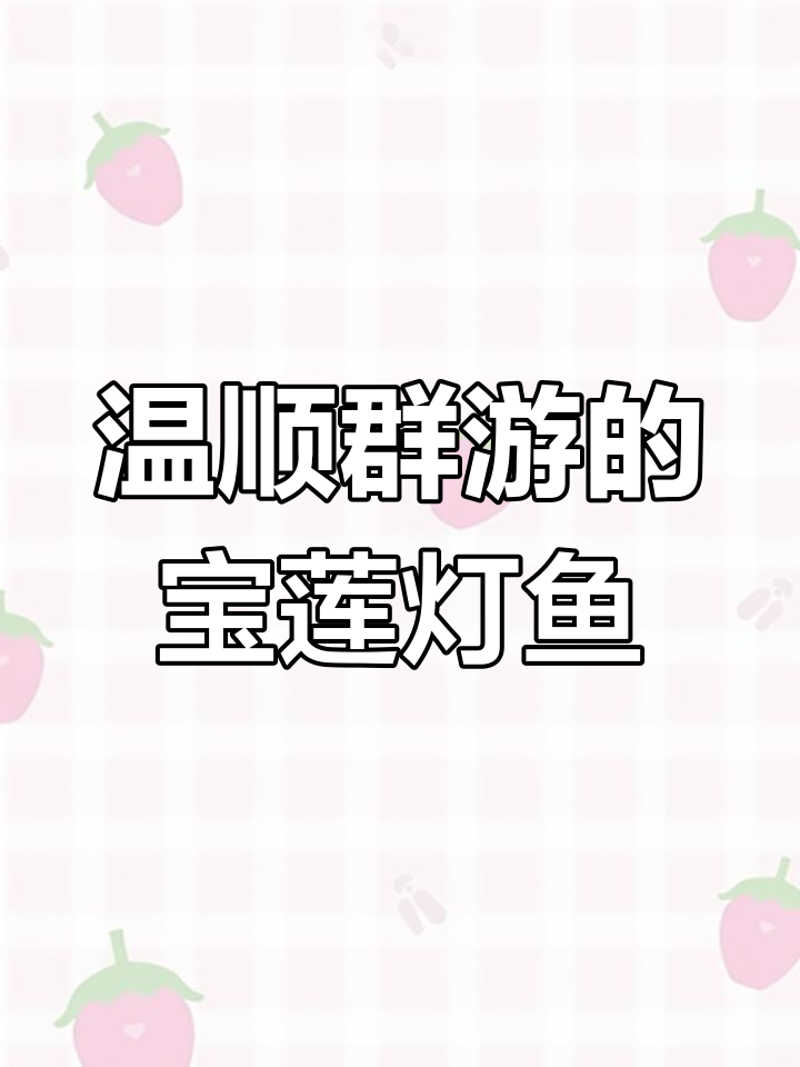 宝莲灯鱼:南美热带观赏鱼的魅力与养护技巧