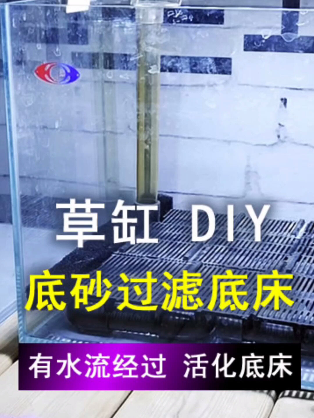 DIY草缸虾缸底砂过滤底床 虾才能长的更好