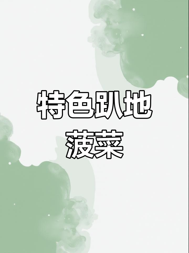 趴地菠菜,独特品种,农家风味十足!
