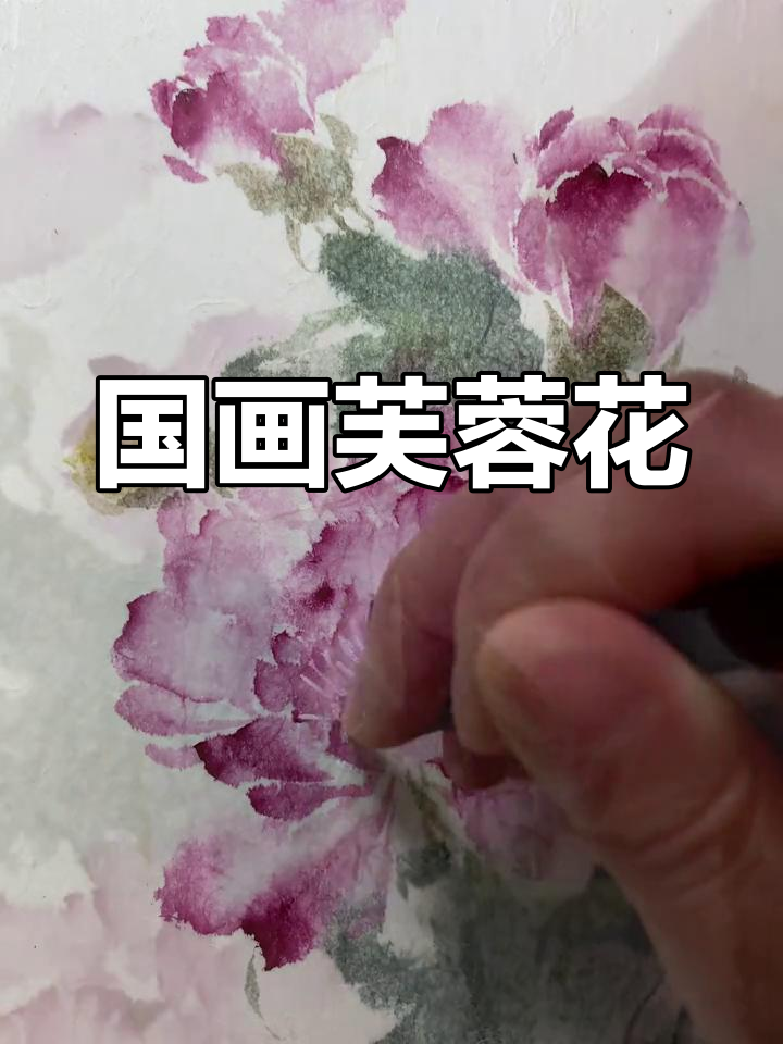 写意芙蓉花国画教程