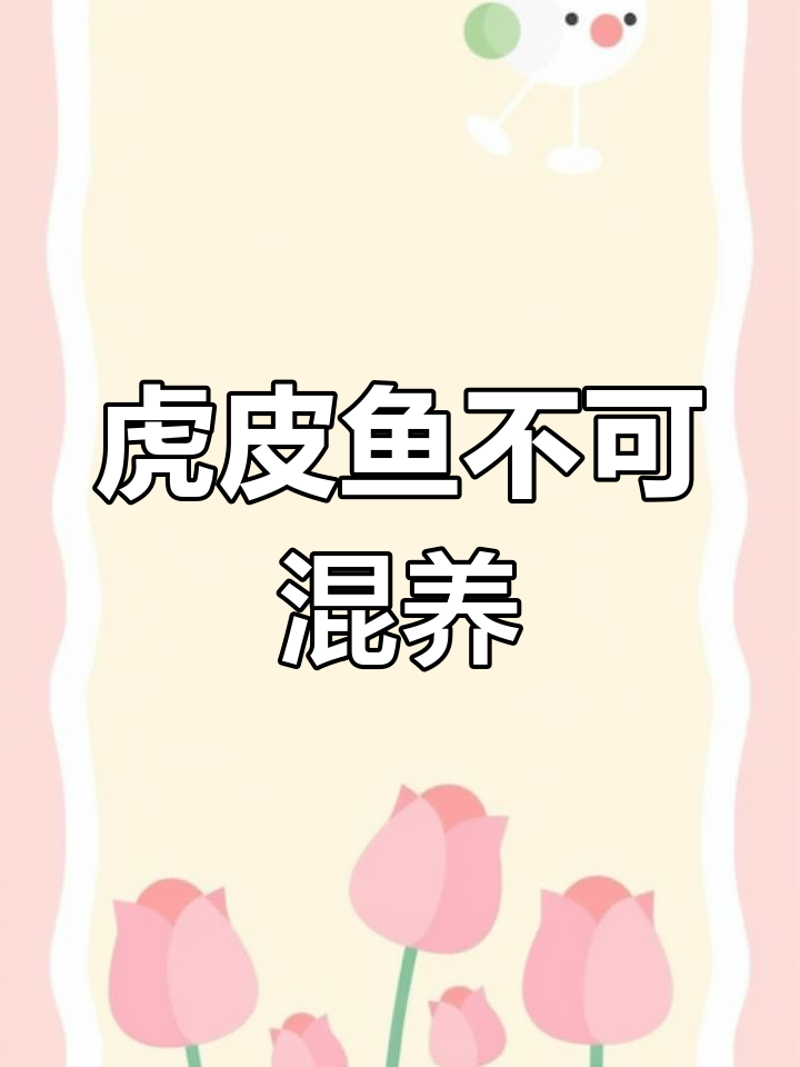 虎皮鱼不能混养,接吻鱼全灭