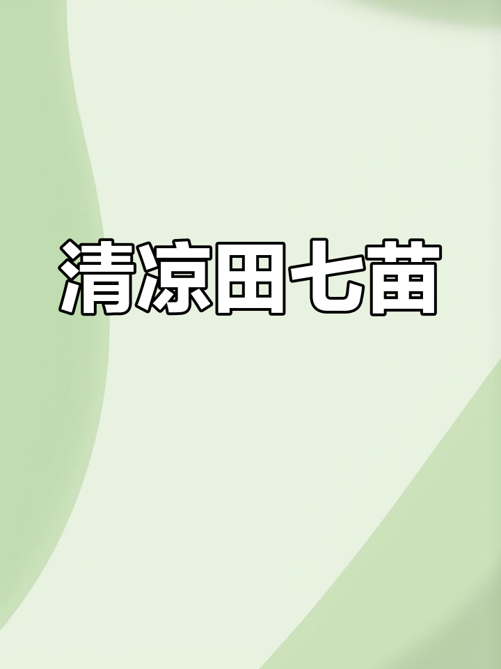 田七苗夏季美味,清凉解暑,简单做法让人回味无穷