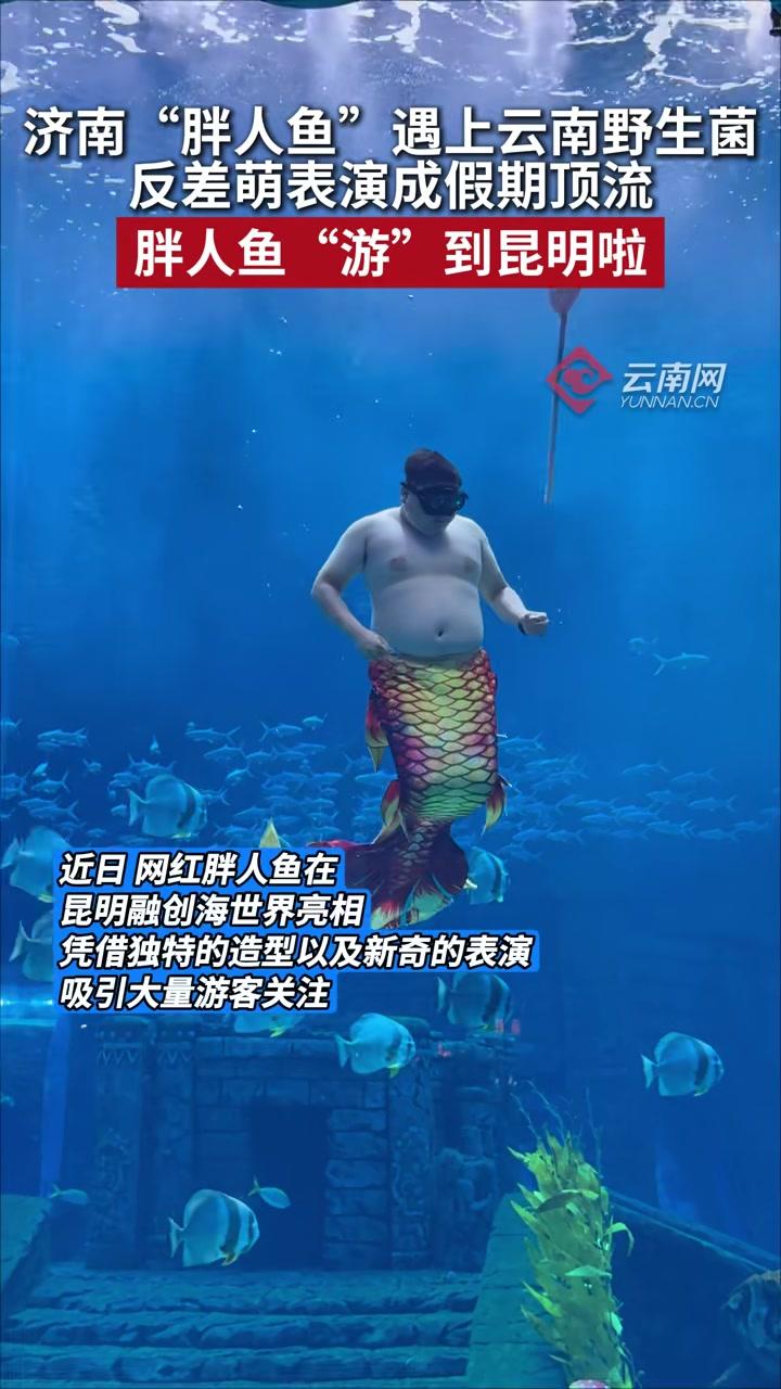 云南气候宜人、菌子美味、观众暖心。“胖人鱼”本人表示，决定多呆几天，表演延期到8月17日。