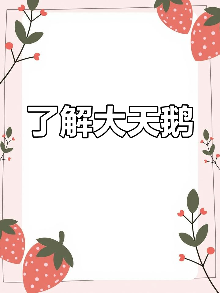 大天鹅:飞行力量与美丽身姿