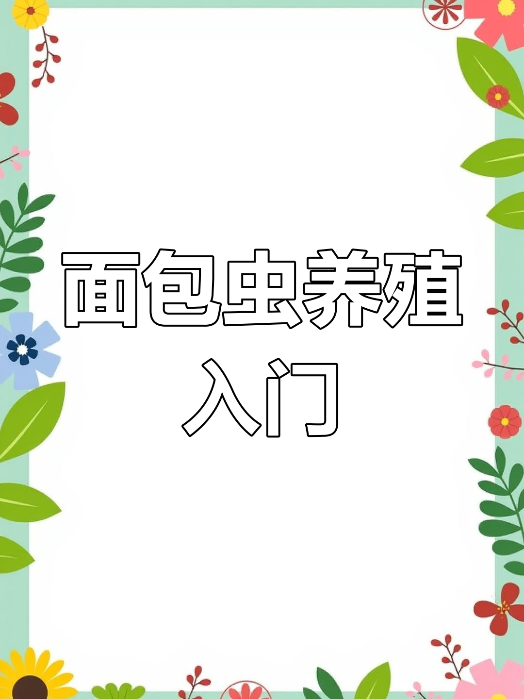 面包虫养殖技巧大揭秘,高效管理轻松上手