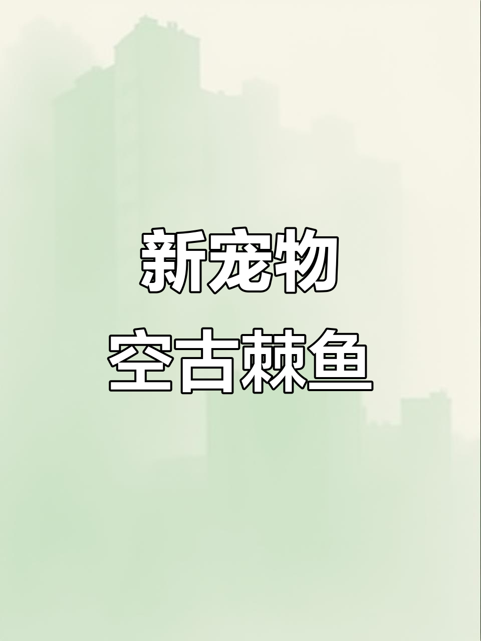 宝可梦朱紫新宠空古棘鱼，手游必看！