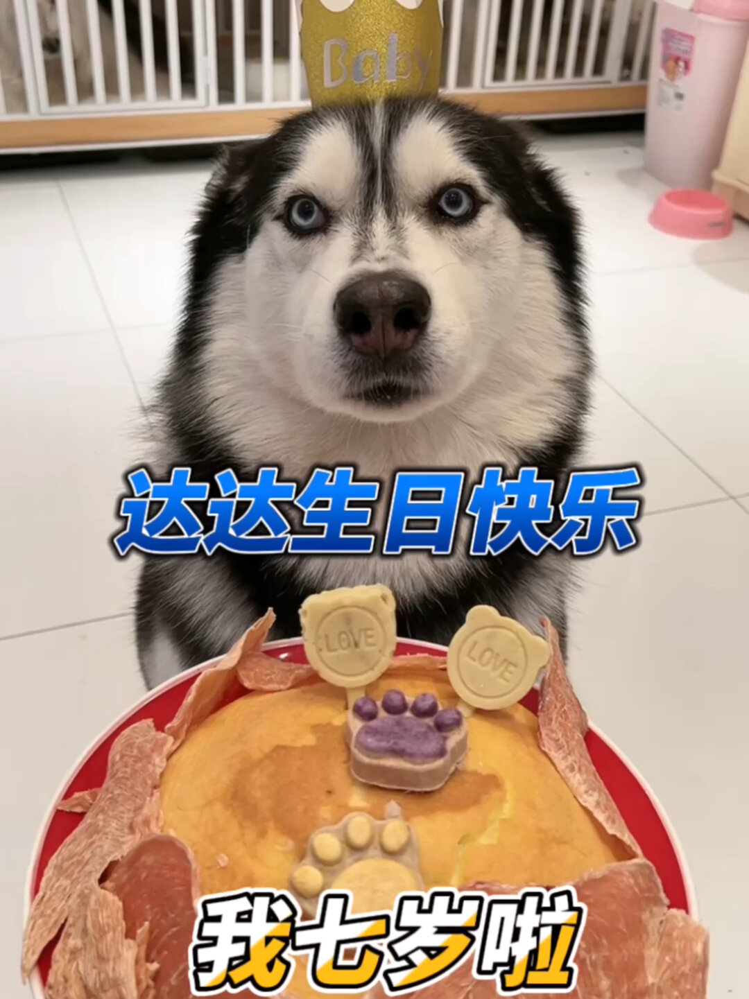 感谢你的七年陪伴,你陪我长大,我伴你变老……