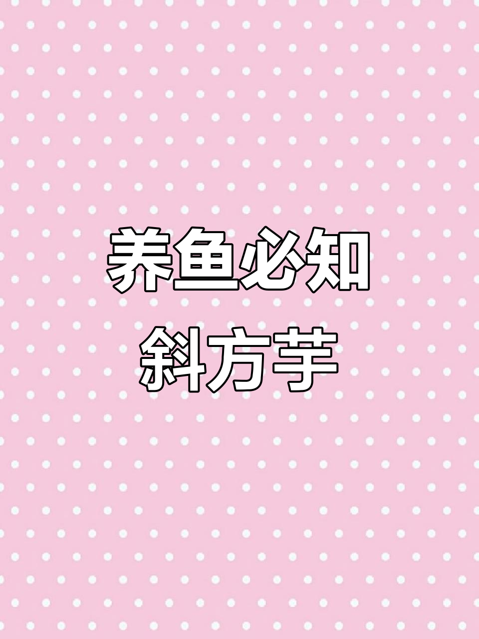 斜方芋与白边须域的区别，养鱼小知识大揭秘