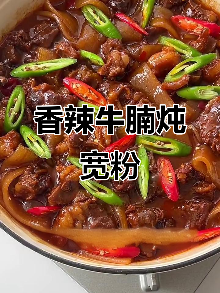 香辣牛腩炖宽粉,Q弹软烂让人无法抗拒