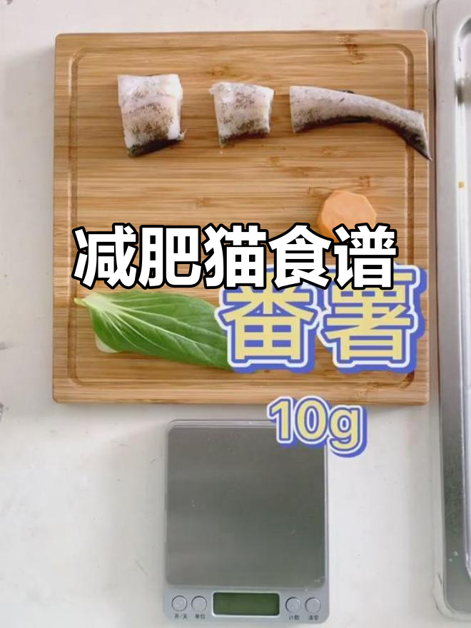 肥胖猫咪的健康隐患,鳕鱼拌饭帮你解决