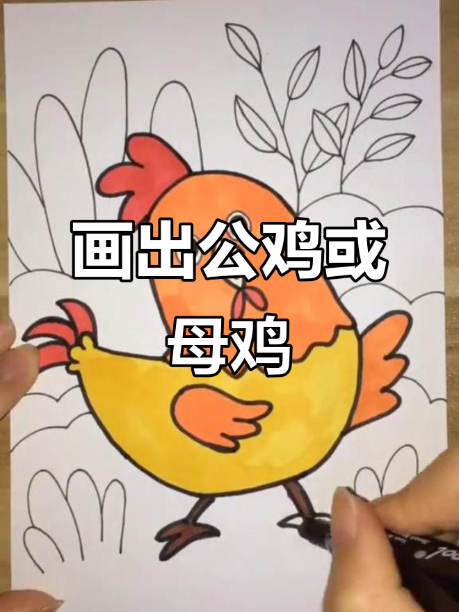 公鸡还是母鸡?快来一起画卡通!