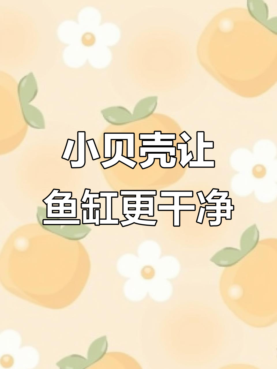 鱼缸里放几颗小贝壳,水质瞬间清澈如新