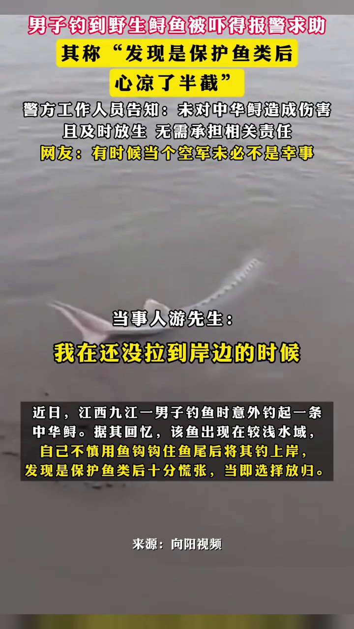 男子钓到野生鲟鱼被吓得报警求助,其称发现是保护鱼类后“心凉了半截”