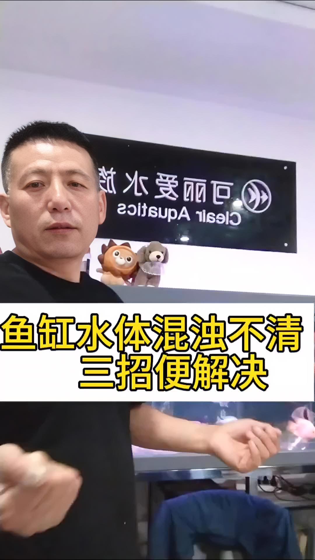 鱼缸水质混浊不清,三招轻松来解决 知识分享 杨凌养鱼群 鱼闻天下 杨凌同城