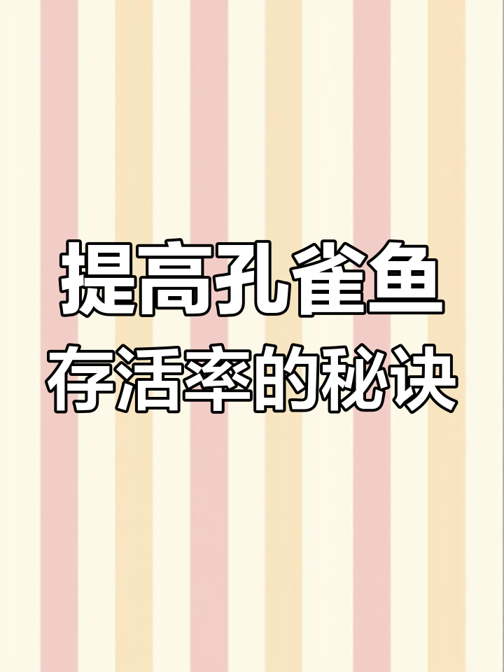 每天抽底补水,孔雀鱼成活率大幅提升