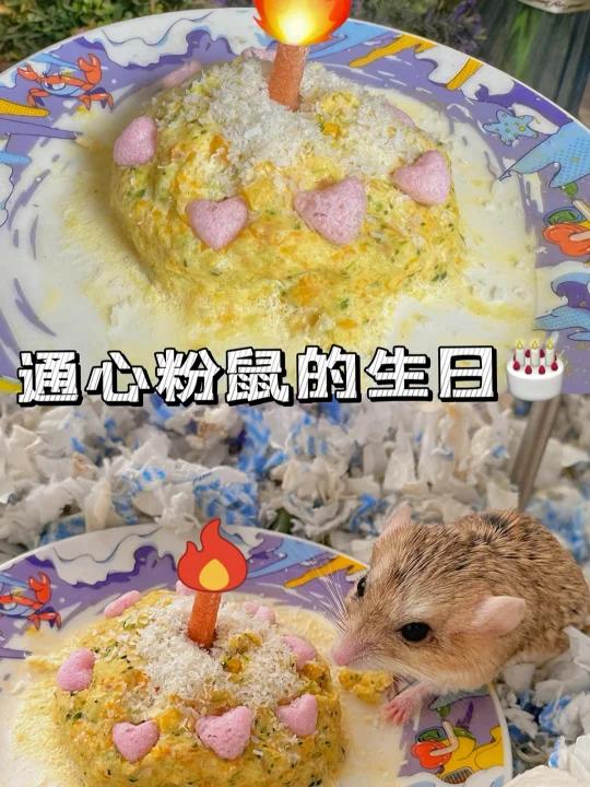 通心粉鼠的三岁生日～