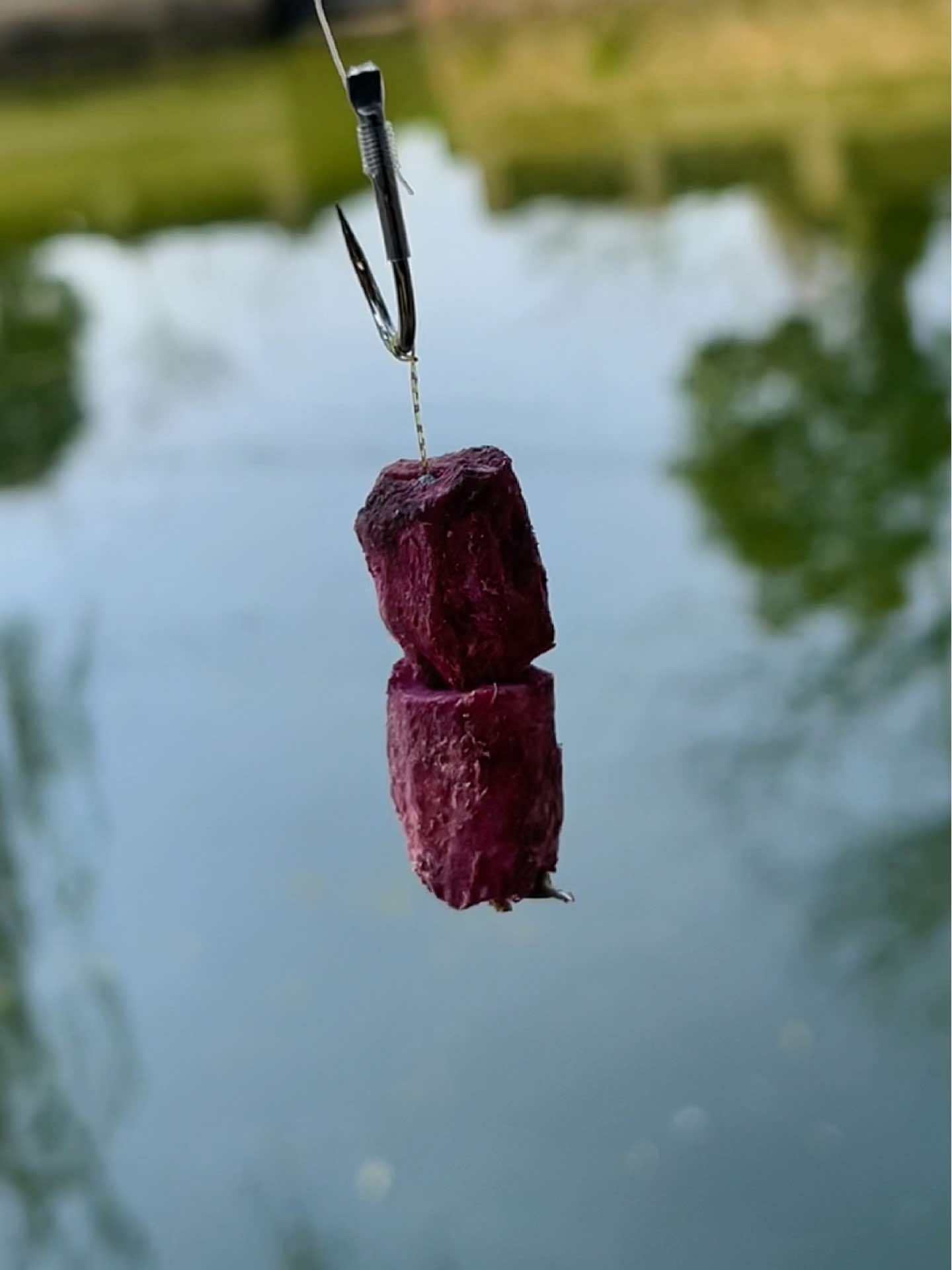 钓鱼人就是这么疯狂 原来钓鱼才是抖音运动顶流 钓鱼的乐趣只有钓鱼人懂 红薯钓鱼挂钩教学分享