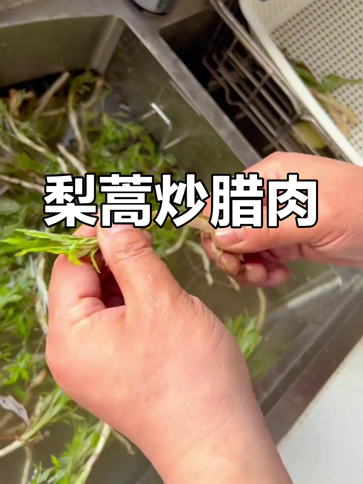 春季野菜美味做法,泥蒿炒腊肉家常下饭
