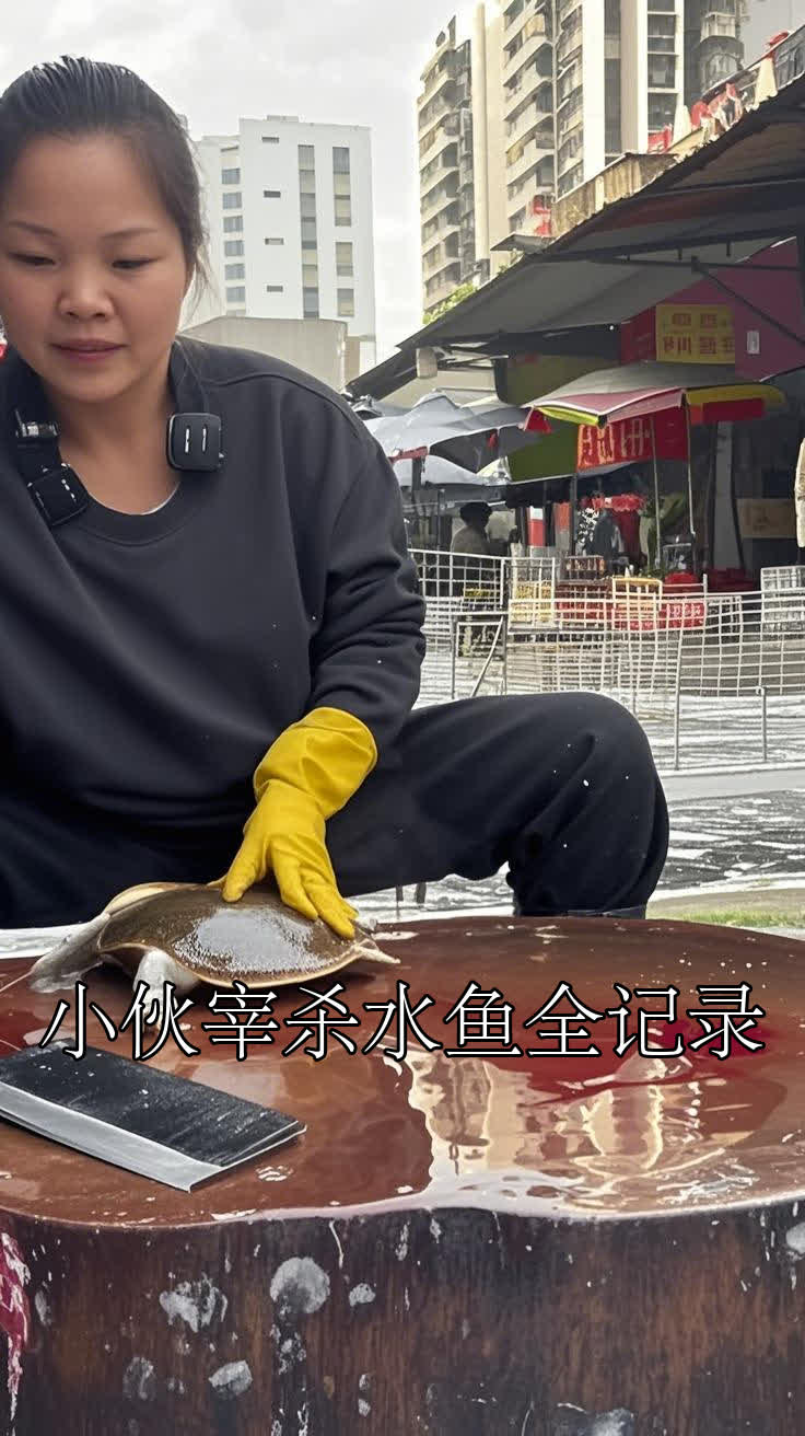 小伙宰杀水鱼全记录