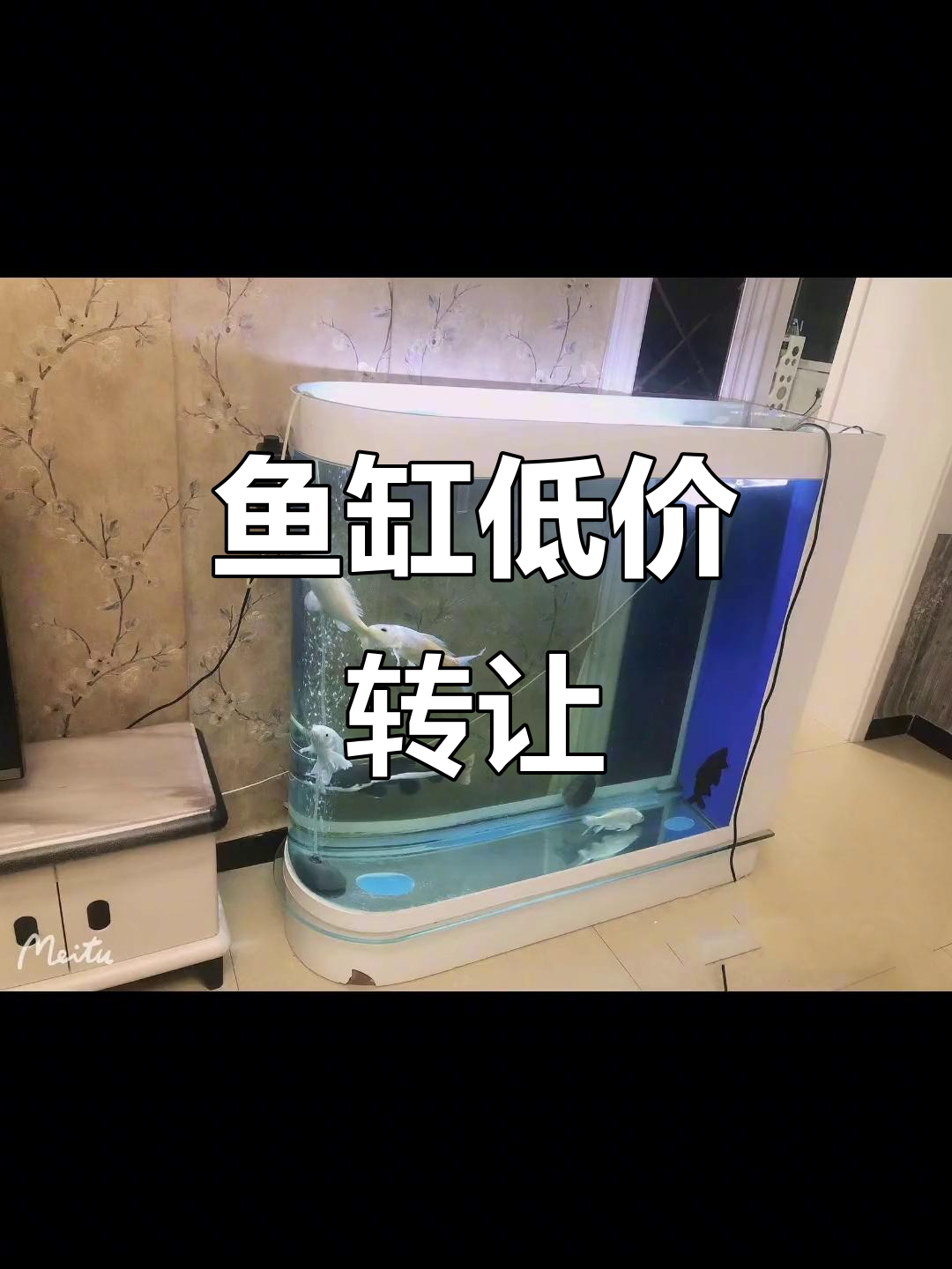 子弹头鱼缸,原价三千现300转让,侧过滤设计