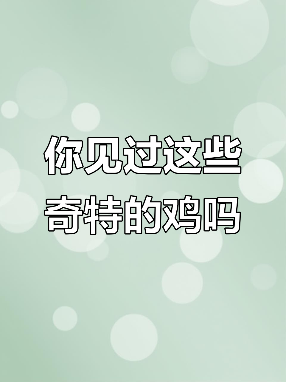 各种奇特观赏鸡大揭秘,看看你认识几种?