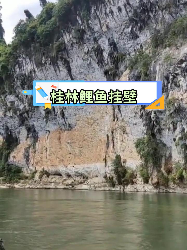 漓江鲤鱼挂壁:传说与美景的交融