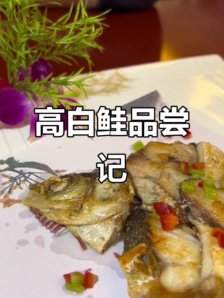 赛里木湖高白鲑：广东食客的清蒸与煎制体验