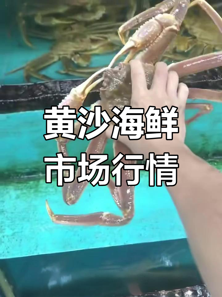 黄沙海鲜市场价格大揭秘:红瓜子斑鱼、松叶蟹等一网打尽