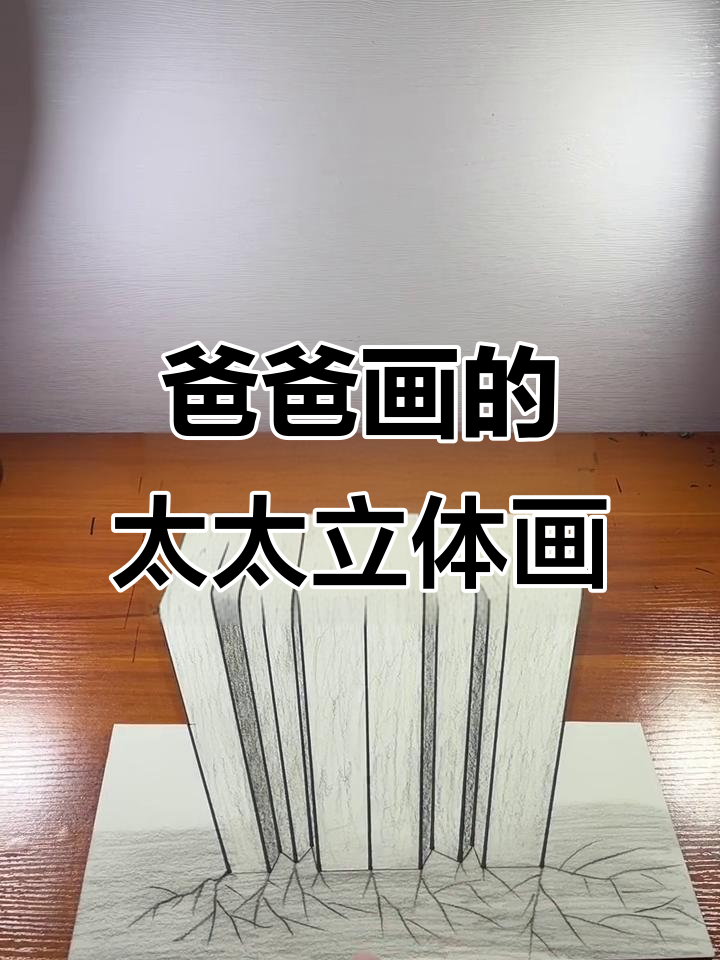爸爸手绘立体画，展现太太独特魅力