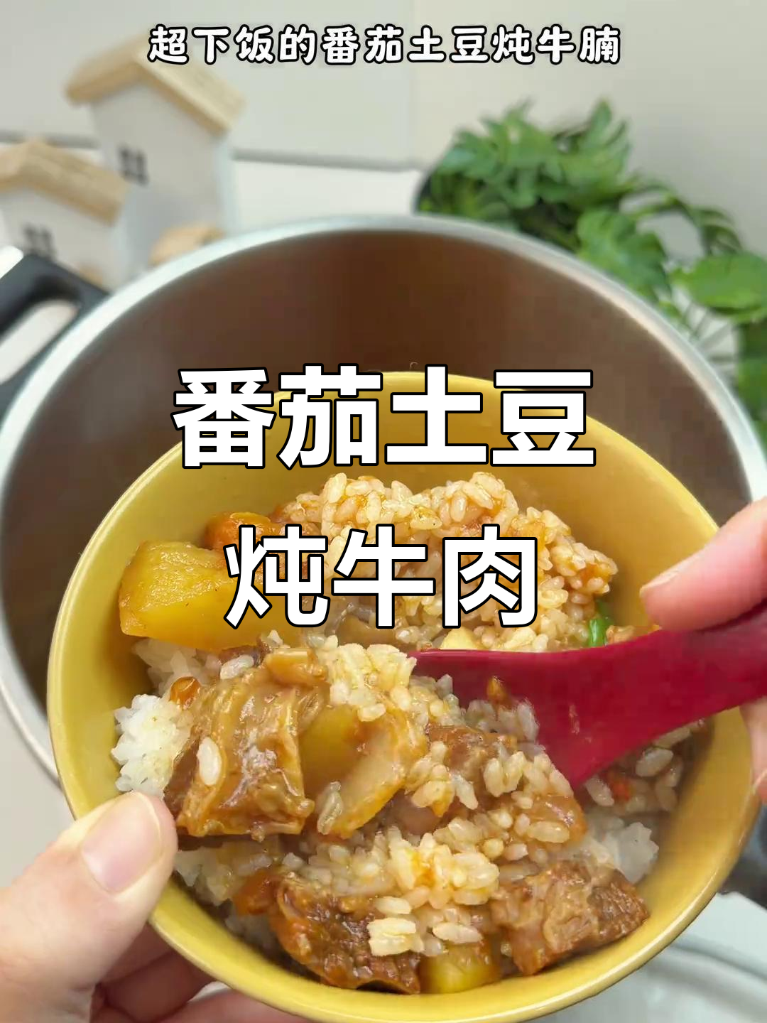 高压锅版番茄土豆炖牛腩,软烂入味,宝宝轻松吃