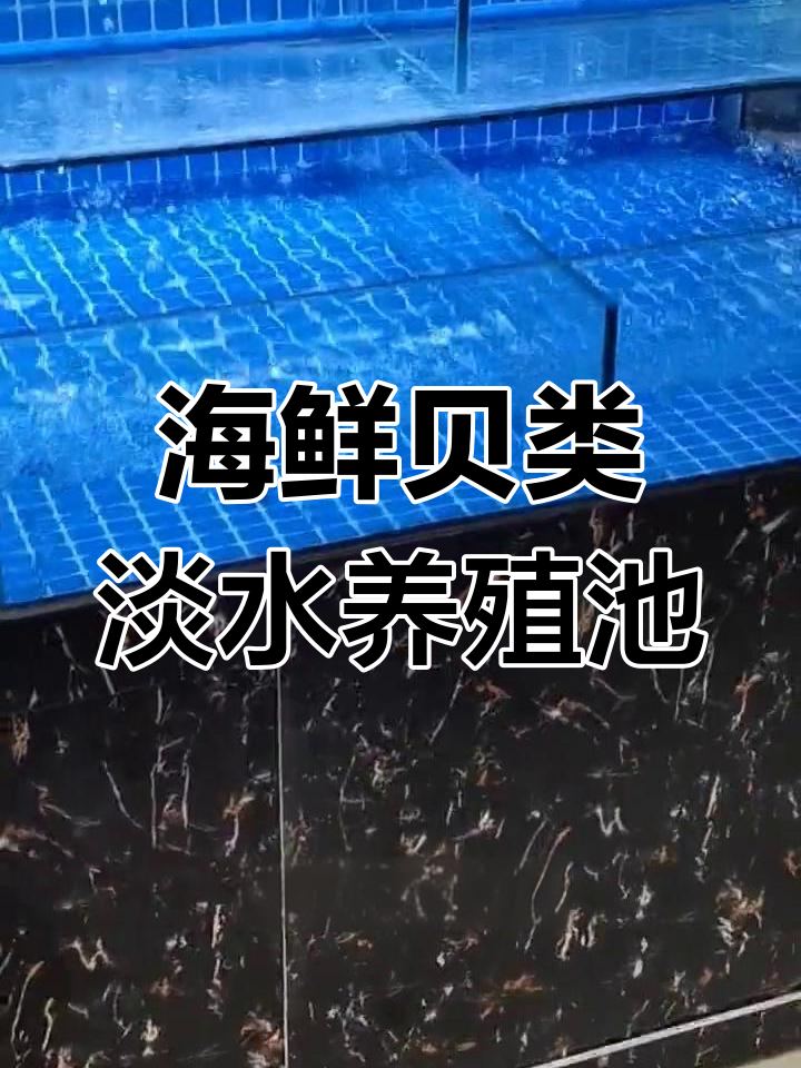 江苏南通海鲜鱼缸定制设计