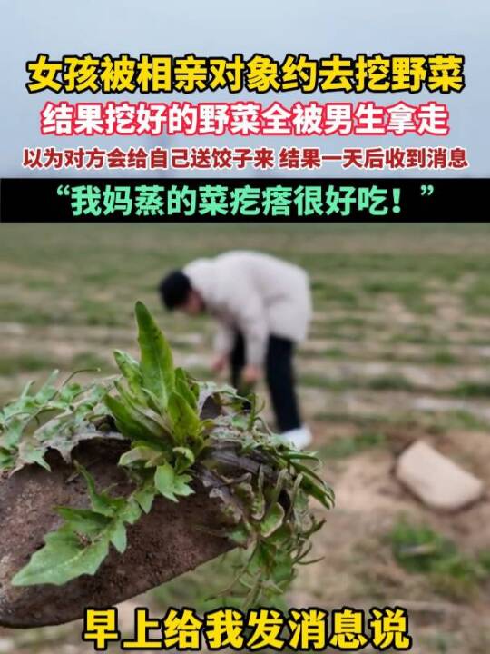 女孩被相亲对象约去挖野菜,结果挖好的野菜全被男生拿走,一天后收到相亲男孩的消息:“我妈蒸的