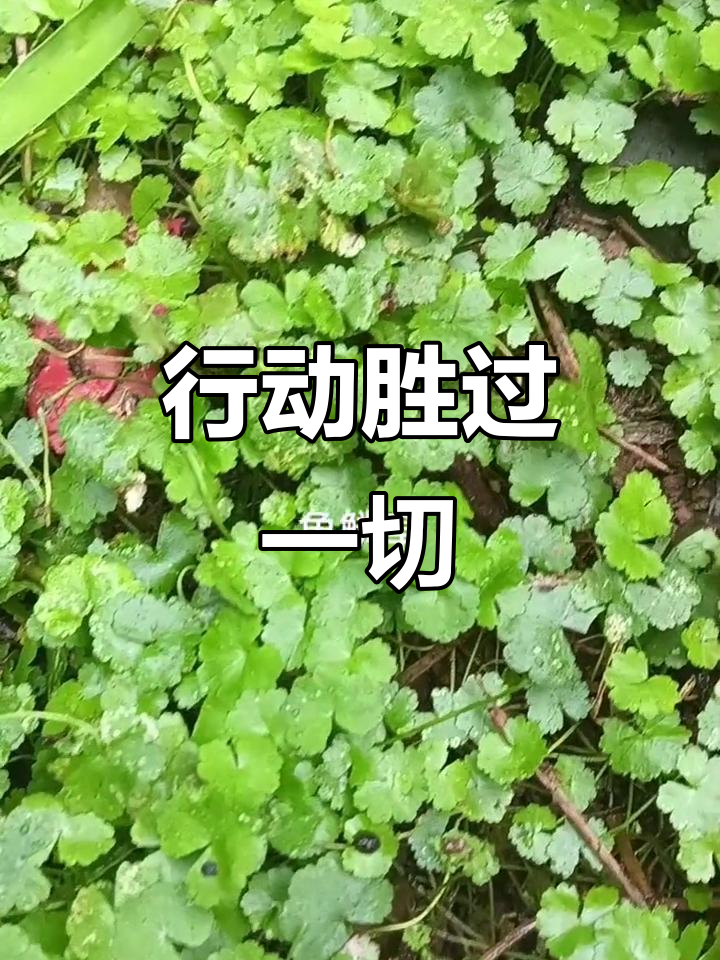 行为决定一切,荣耀只是浮云