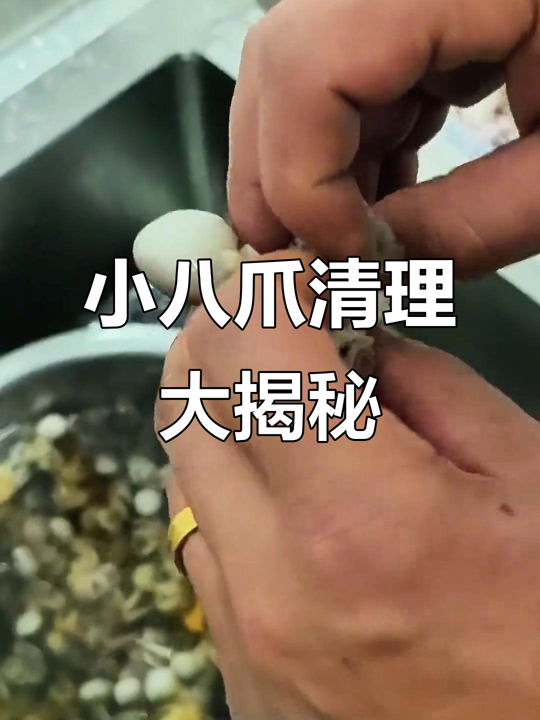 波士顿龙虾与小八爪的完美搭配,海鲜控必试!