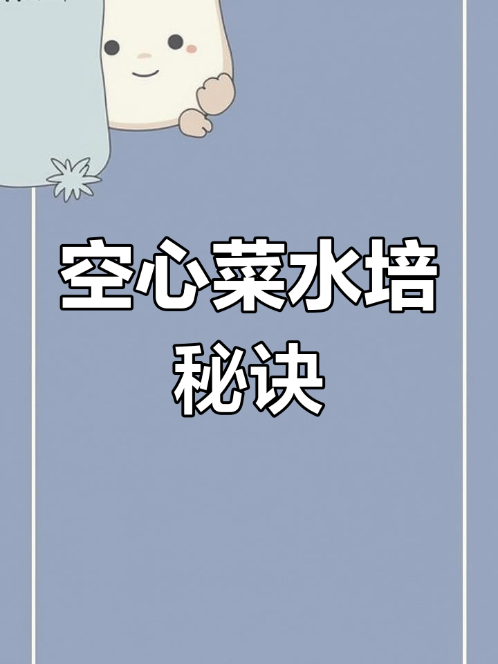 水培空心菜种植技巧,掌握这些让你的苗更整齐