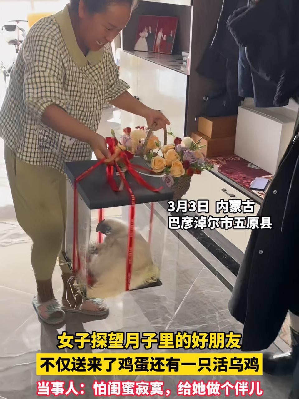 女子探望月子里的好朋友,不仅送来了鸡蛋还有一只活乌鸡,当事人:怕闺蜜寂寞,给她做个伴儿 来