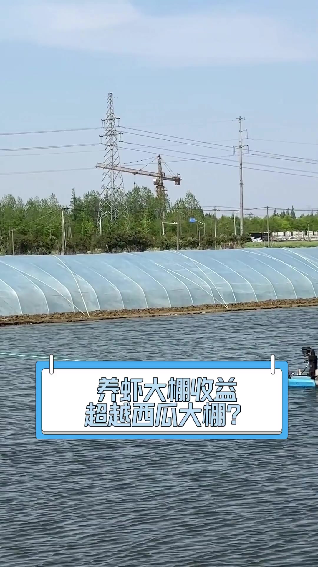 养虾大棚收益超越西瓜大棚?