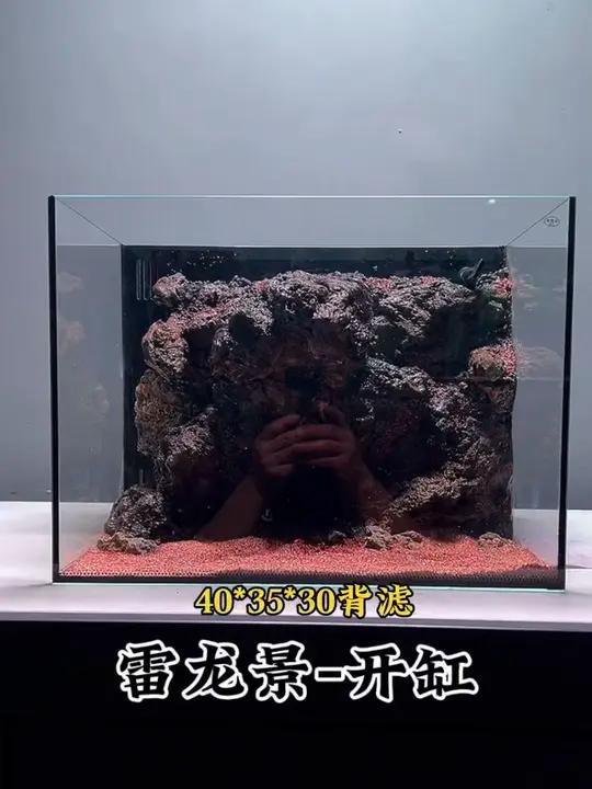 带你沉浸式体验，小型雷龙缸，造景全过程
