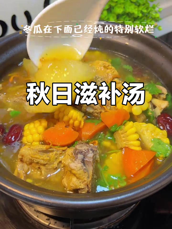 秋季滋补汤,冬瓜玉米骨汤,营养美味,家人都爱喝!
