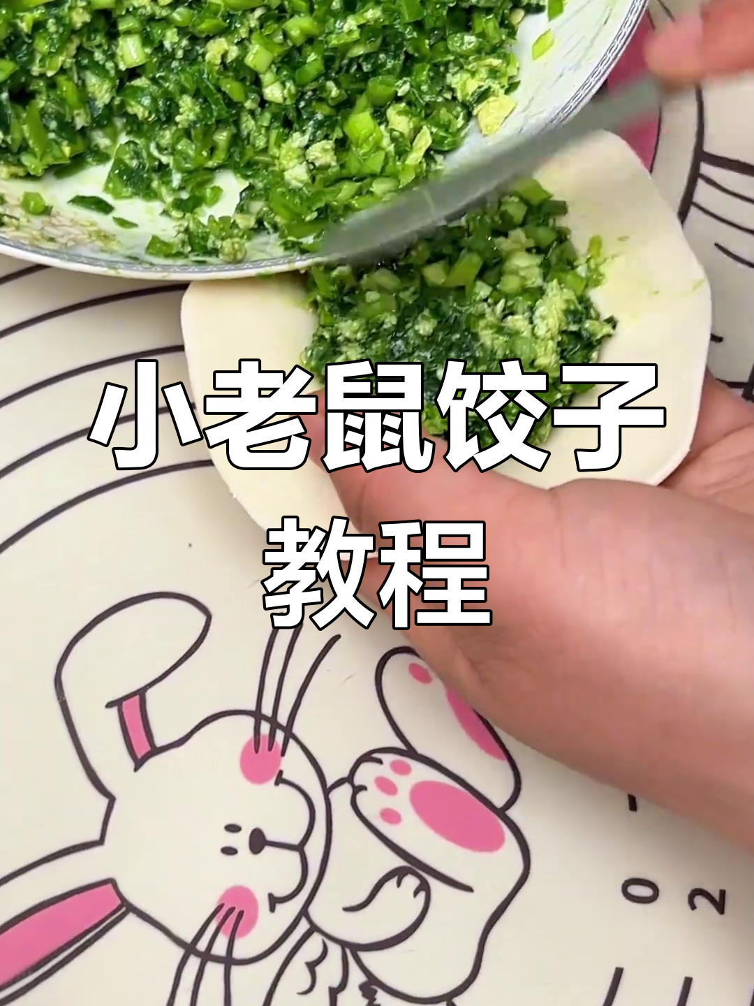 柳叶小老鼠饺子包法全攻略,轻松学会这些技巧