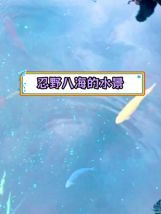 富士山脚下的蓝色锦鲤奇观