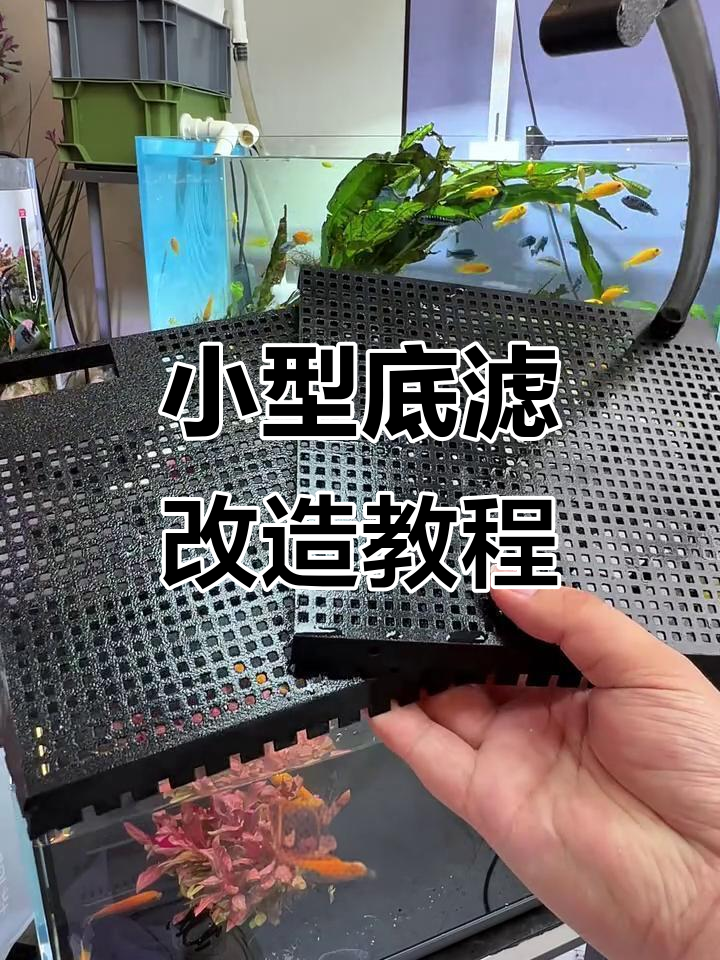 小米鱼缸底滤系统大揭秘，轻松打造小型闭环过滤