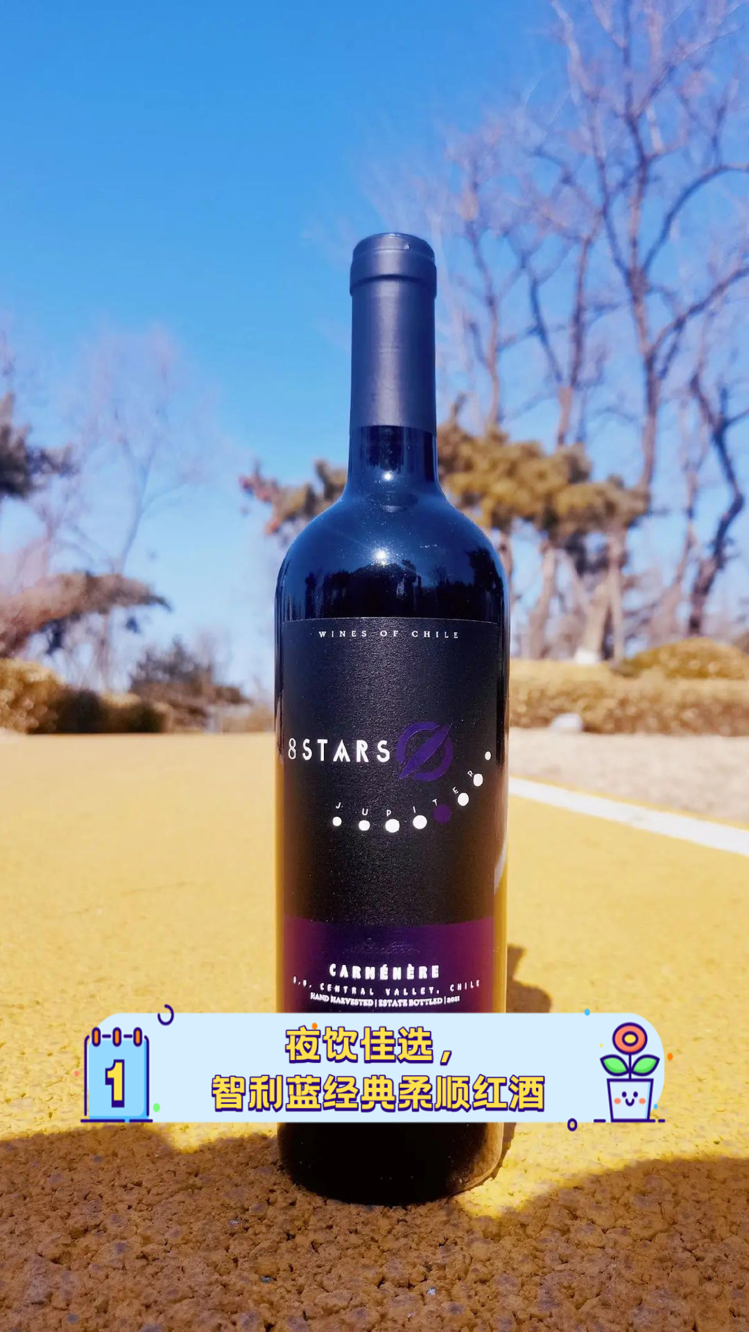 夜饮佳选,智利蓝经典柔顺红酒