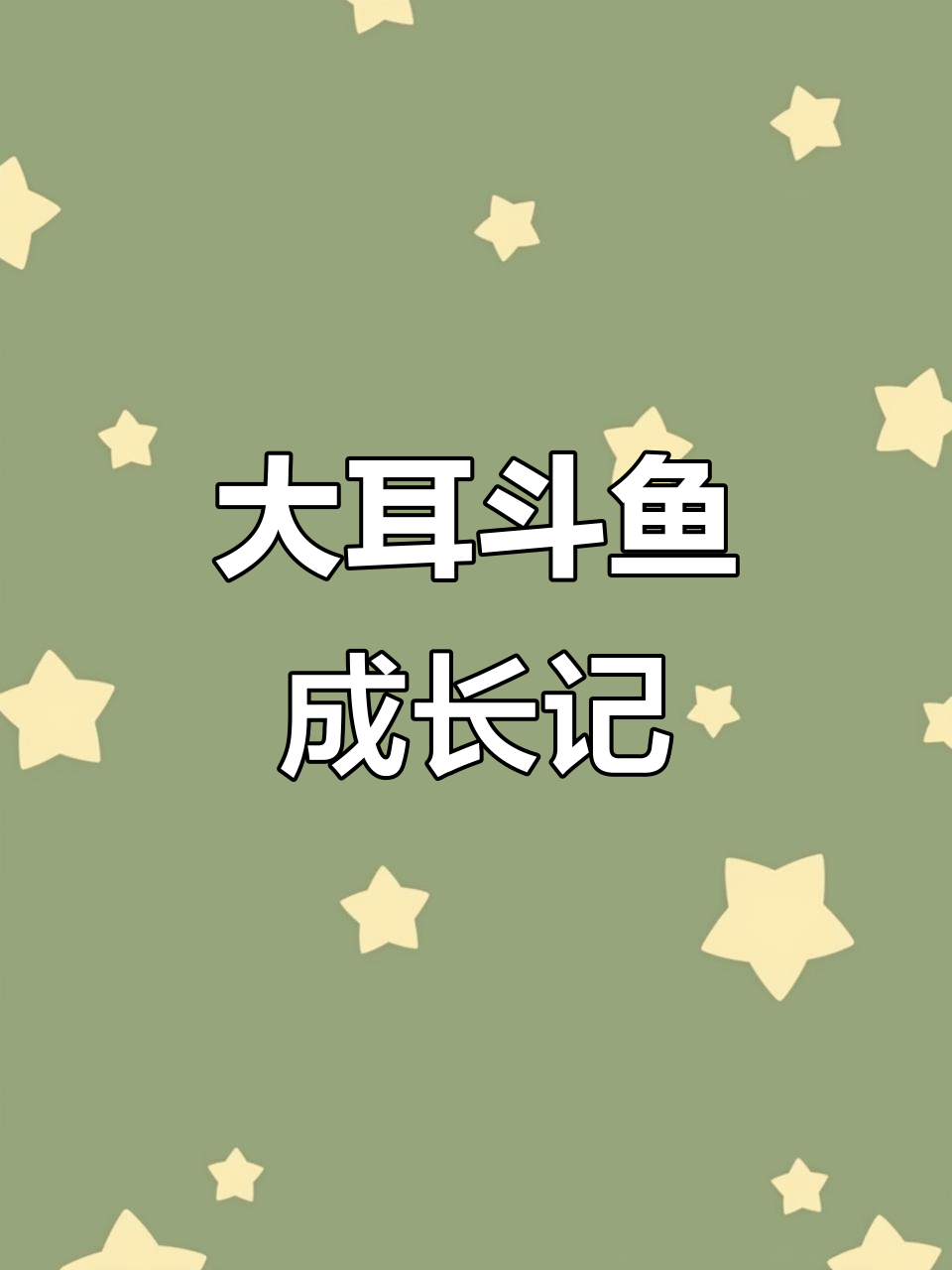 44天大耳斗鱼苗成长记,看看它有多大了!