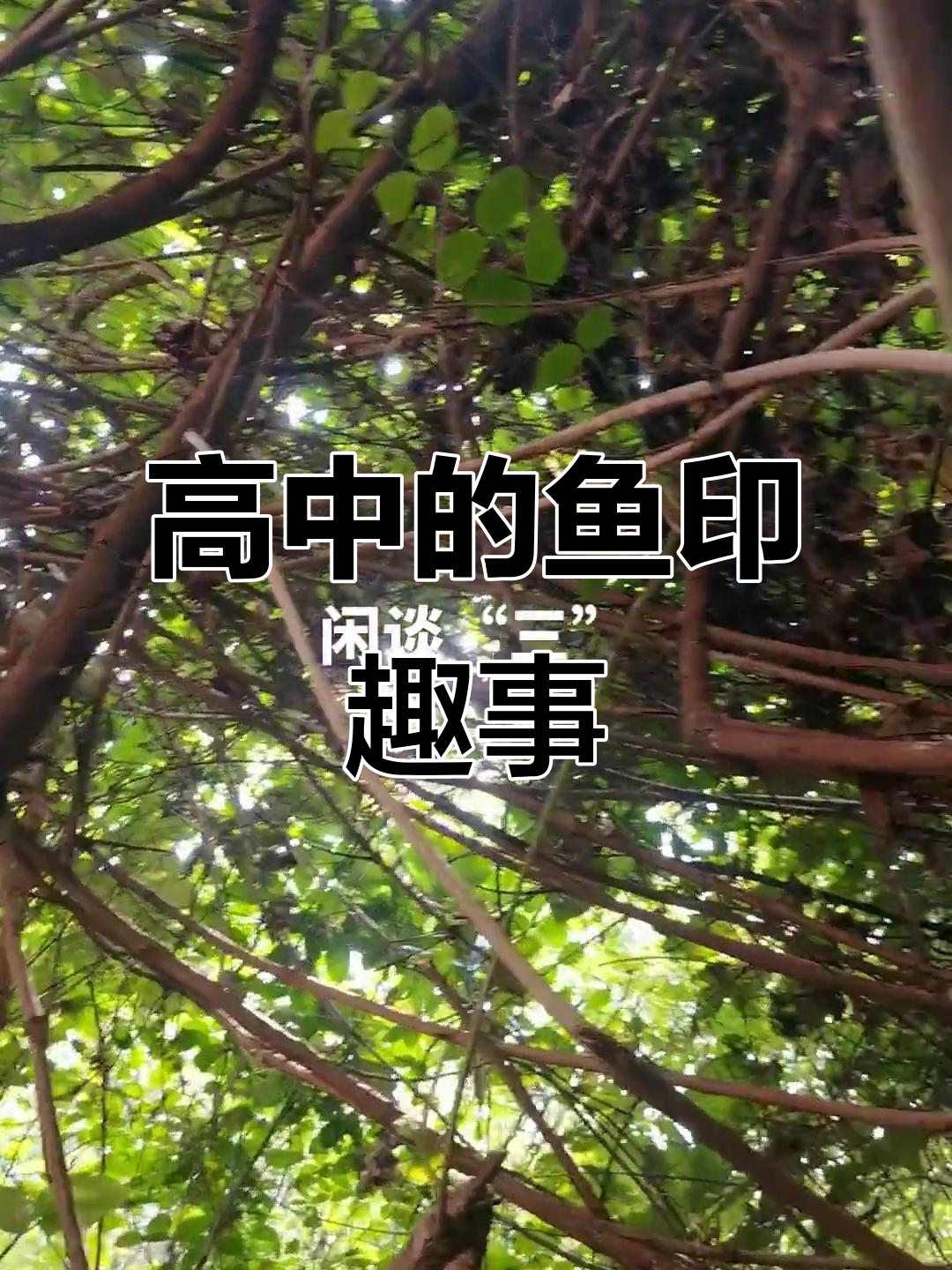 高中阿姨的鱼印故事,继续揭秘!