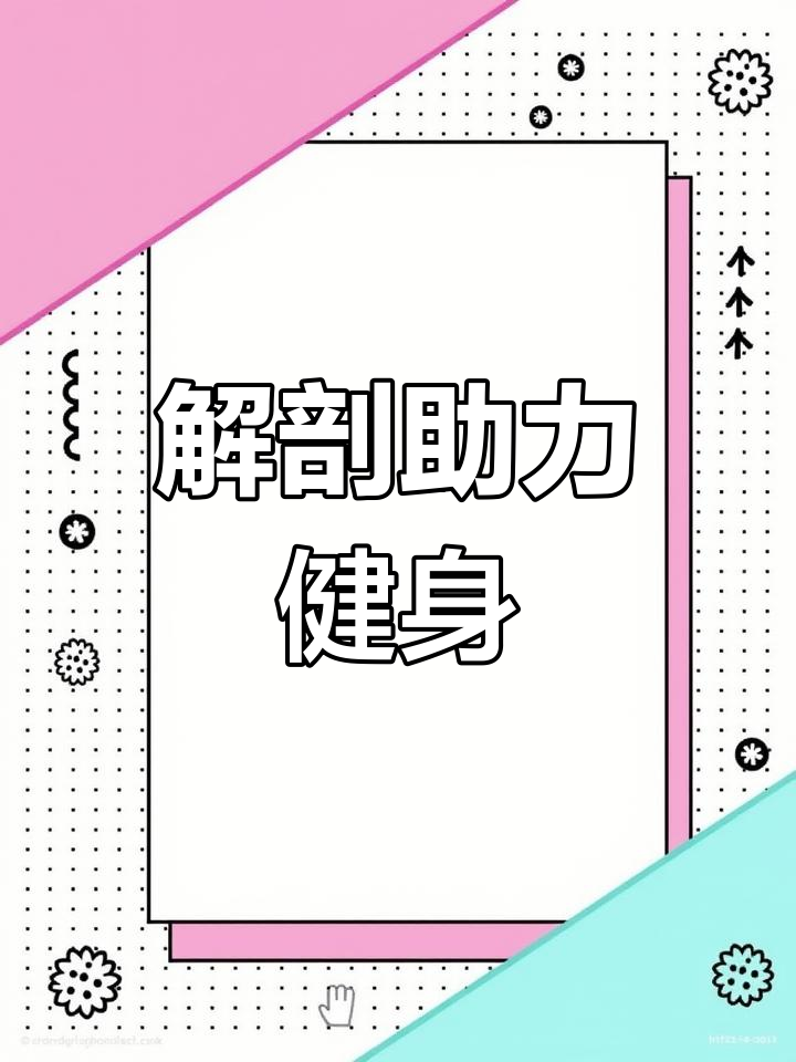 健身前先了解肌肉骨骼,3D解剖让你更精准训练!