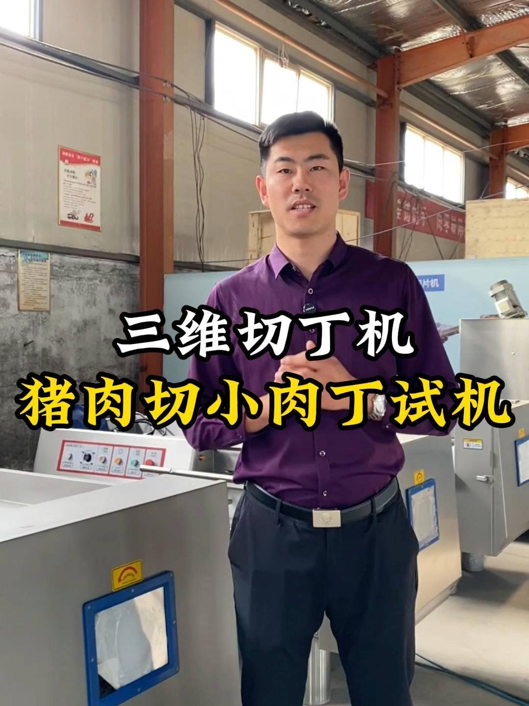 三维切丁机切小肉丁