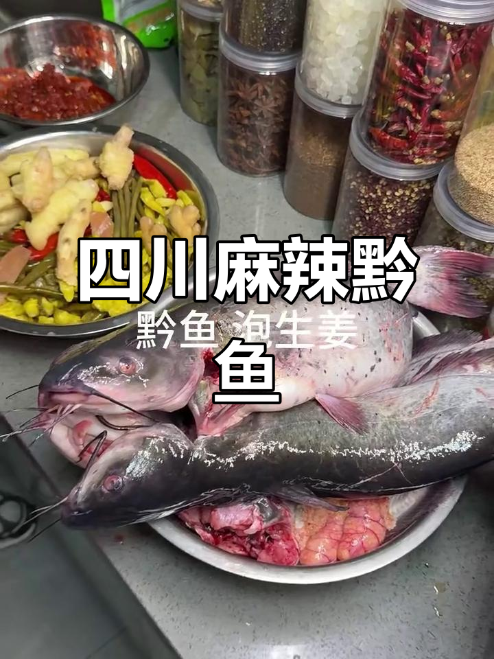 四川麻辣黔鱼,泡菜与香料完美结合
