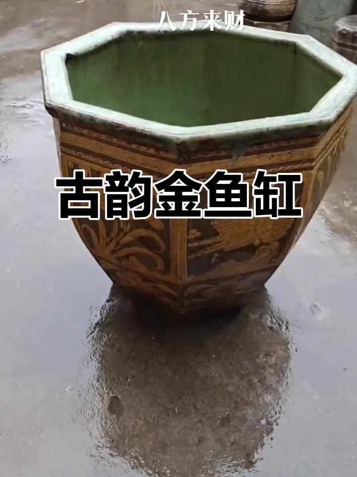 清代金鱼缸,古朴典雅,乡野新收
