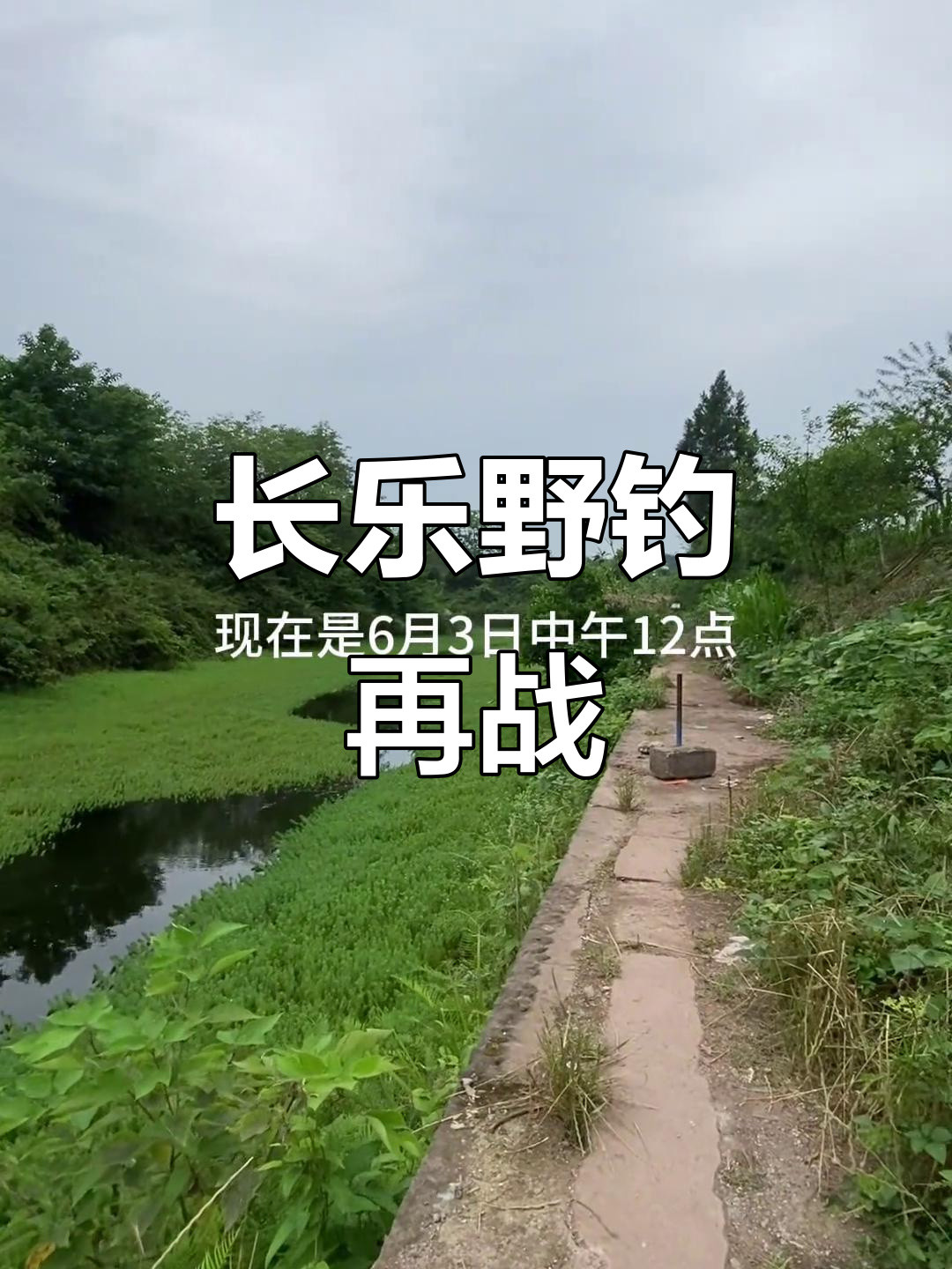 挑战长乐一野塘,钓鱼人疯狂出击!